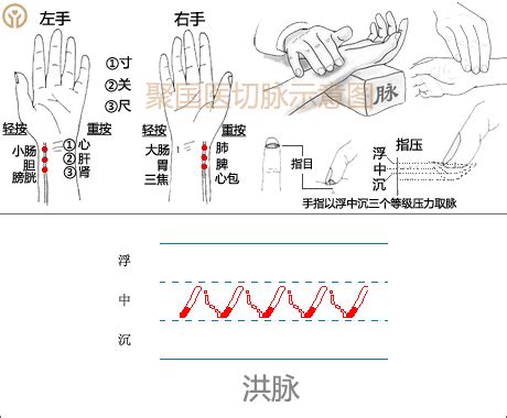 脈象圖|脈象